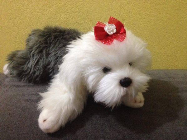 Laço Voal Vermelho G - c/ 10 unidades